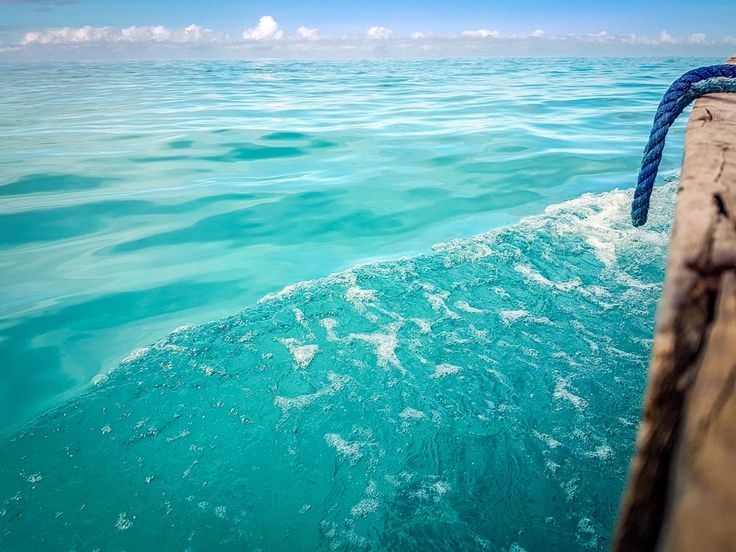 1-Day Zanzibar Mafia Adventure